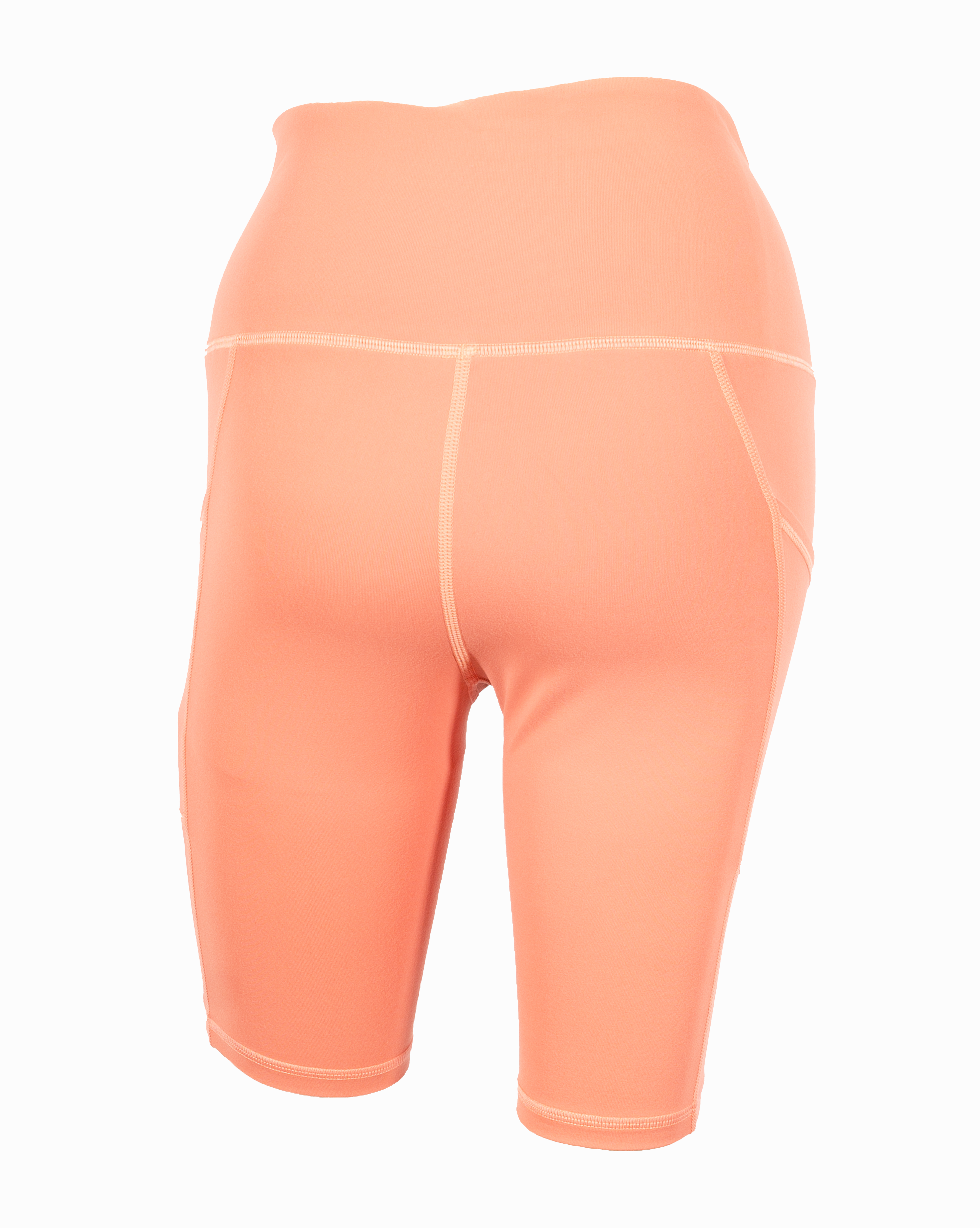 AMOMENTO☆23SS COLOR BLOCKED BIKER SHORTS Seamless Biker Shorts – Sweat Equity Store